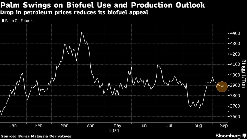 Palm Oil Swings on Biofuel Demand Outlook and Output Concerns