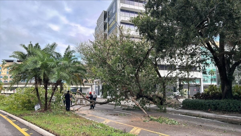 Hurricane Milton deals estimated $160B blow in damage, economic loss